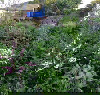 Down to Earth Permaculture - Hervey Bay Accommodation