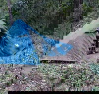 England Creek Bush Camp - Hervey Bay Accommodation