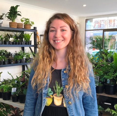 Fancy Plants - Hervey Bay Accommodation 2