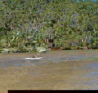 Fitzpatrick Park - Hervey Bay Accommodation