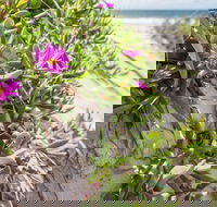 Fort Bribie - Hervey Bay Accommodation