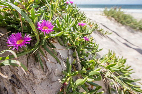 Fort Bribie - Hervey Bay Accommodation 0