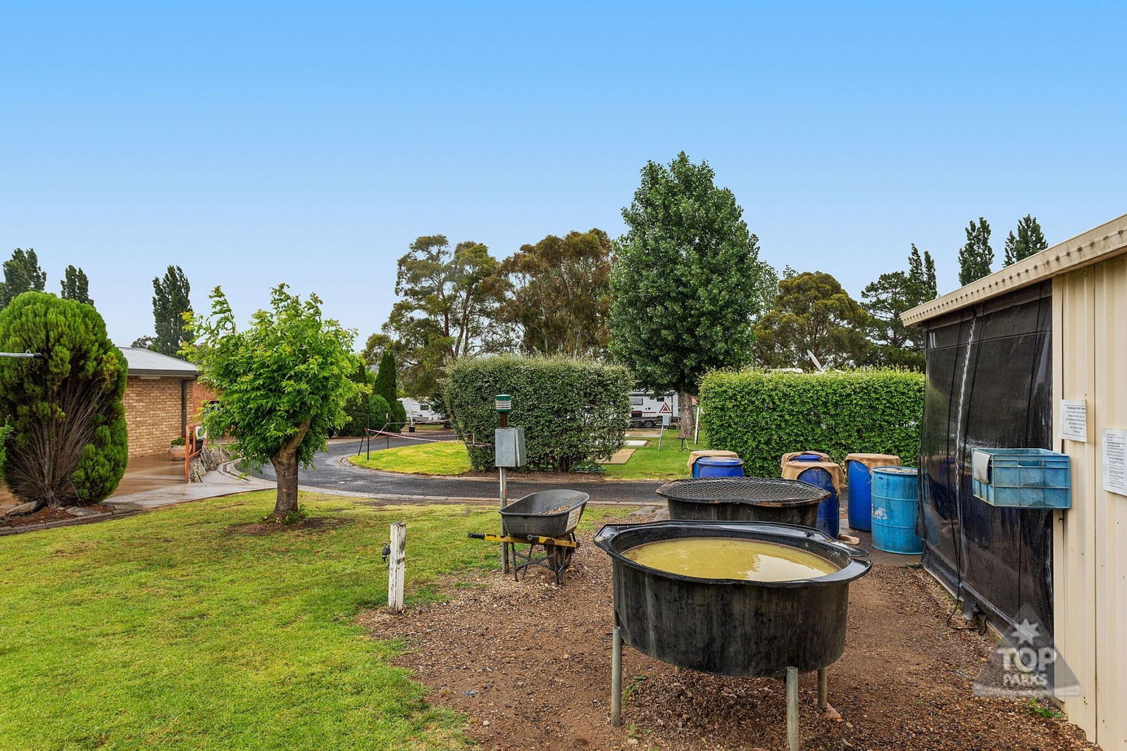 Kookabookra NSW Tourism Hervey Bay