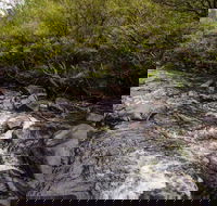 Gloucester River walking track - Hervey Bay Accommodation