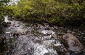 Book Gloucester NSW Attractions Hervey Bay Accommodation Hervey Bay Accommodation