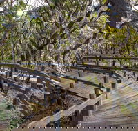 Governor Summit Corrunbral Borawah Walking Track - Hervey Bay Accommodation