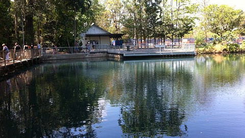 Howard Springs Nature Park - Hervey Bay Accommodation 1