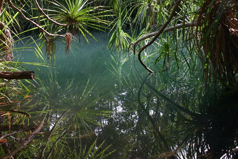 Howard Springs Nature Park - Hervey Bay Accommodation 2