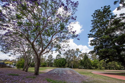 John Scott Park - Hervey Bay Accommodation 0
