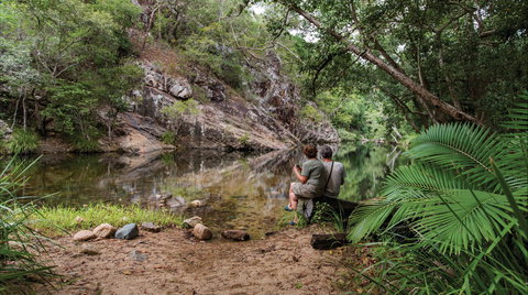 Jourama Falls, Paluma Range National Park - Hervey Bay Accommodation 1