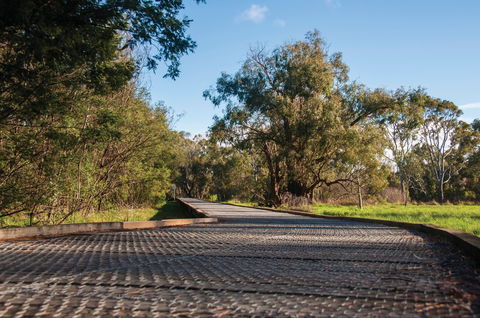 Koomba Park - Tourism Hervey Bay 1