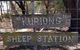 Kuriong Sheep Station - thumb 0