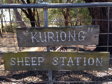 Kuriong Sheep Station - Tourism Hervey Bay 0
