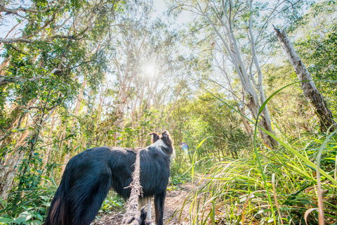 Lamb Island (Nguderoo) - Hervey Bay Accommodation 1