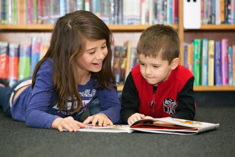 Maitland City Library - Hervey Bay Accommodation 0