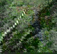 Mapleton Falls National Park - Hervey Bay Accommodation