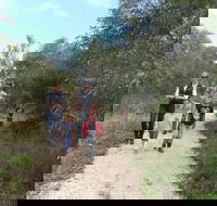 Meningie Lions Walking Trail - Tourism Hervey Bay