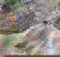 Mill-bullah Walking Track - Hervey Bay Accommodation