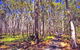 Moogerah Peaks National Park - thumb 1