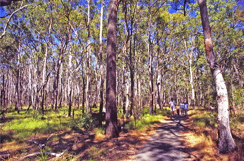 Moogerah Peaks National Park - Hervey Bay Accommodation 1