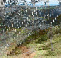 Mount Towac Walk - Tourism Hervey Bay
