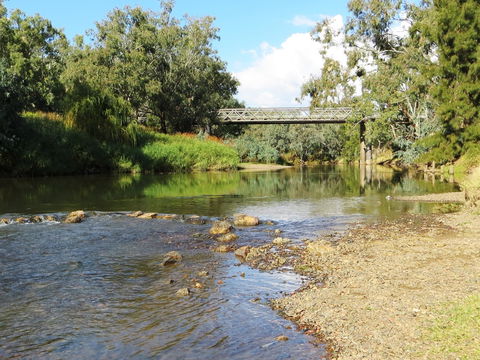 Namoi River And Woolshed Reserve - Hervey Bay Accommodation 0