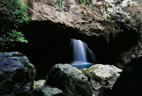 Natural Bridge Circuit, Springbrook National Park - Hervey Bay Accommodation 0