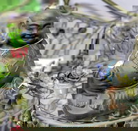 Nelly's Niche - Hervey Bay Accommodation