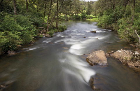 Nymboi-Binderay National Park - Hervey Bay Accommodation 0