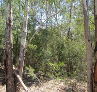 One Mile Creek shared path