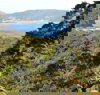 Patonga to Pearl Beach Walking Track - Hervey Bay Accommodation