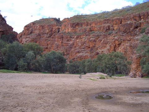 Ruby Gap Nature Park - Hervey Bay Accommodation 1
