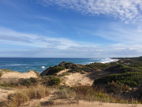 Rye Ocean Beach - Hervey Bay Accommodation 0