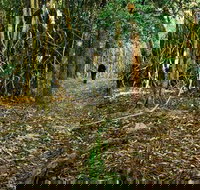 Sand track walk north