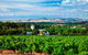 Seppeltsfield Road Barossa Valley - thumb 1