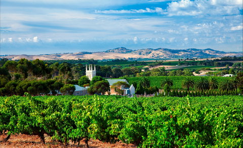 Seppeltsfield Road Barossa Valley - Tourism Hervey Bay 1