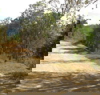 The Bloomfield Track - Tourism Hervey Bay