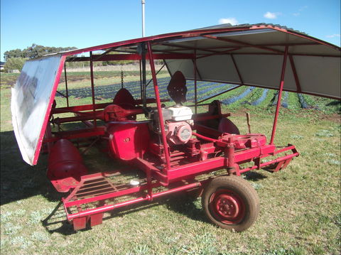 The Super Strawberry - Hervey Bay Accommodation 2