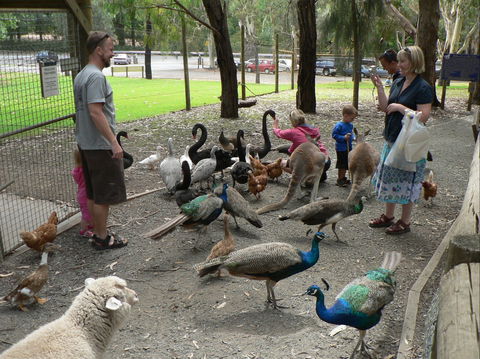 The Big Rocking Horse And The Toy Factory - Hervey Bay Accommodation 2