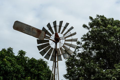 Tinaberries - Hervey Bay Accommodation 0