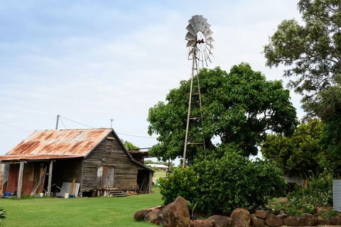 Tinaberries - Hervey Bay Accommodation 1