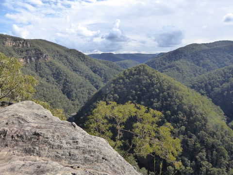 Vale Of Avoca - Hervey Bay Accommodation 0