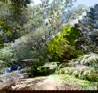Wadbilliga Road drive - Hervey Bay Accommodation