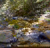 Washpool Walking Track - Hervey Bay Accommodation