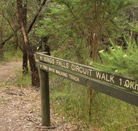 Waterfall Gully - Kings Falls Circuit Walk - Tourism Hervey Bay