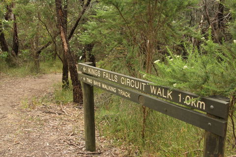 Waterfall Gully - Kings Falls Circuit Walk - Hervey Bay Accommodation 0