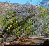 Weddin Gap to Black Spring Loop Trail - Tourism Hervey Bay