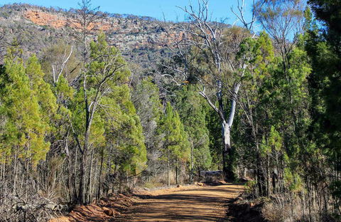 Weddin Gap To Black Spring Loop Trail - Tourism Hervey Bay 0