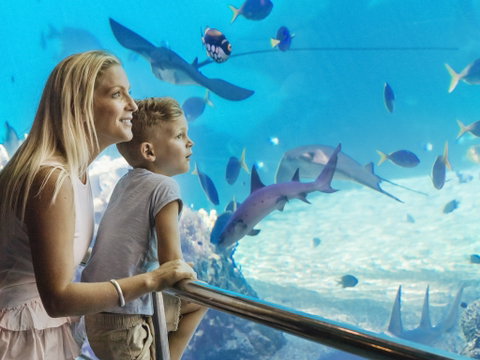 Australia's Sea World - Hervey Bay Accommodation 2