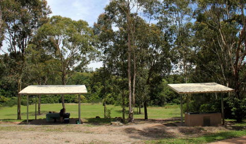 Back Creek Picnic Area - Hervey Bay Accommodation 0